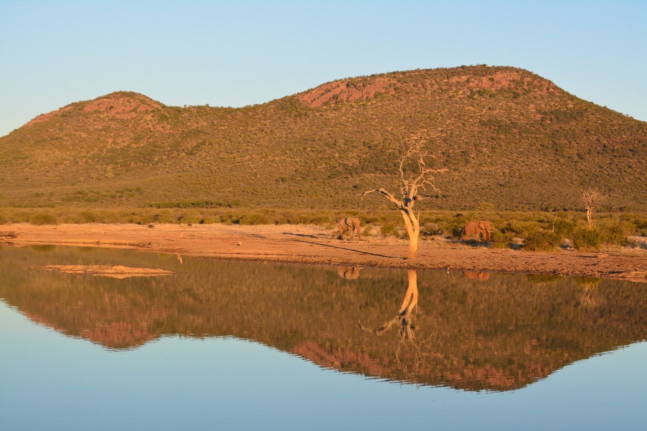 MadikweLandscape.jpg