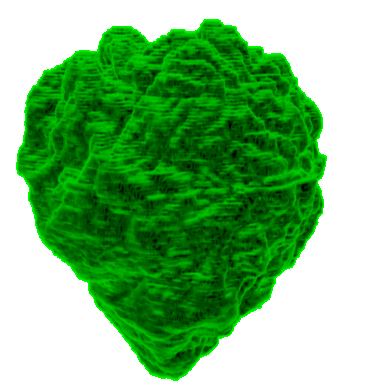 Nucleus3D-1.gif