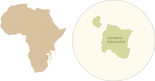 Africa Map_transparent.png