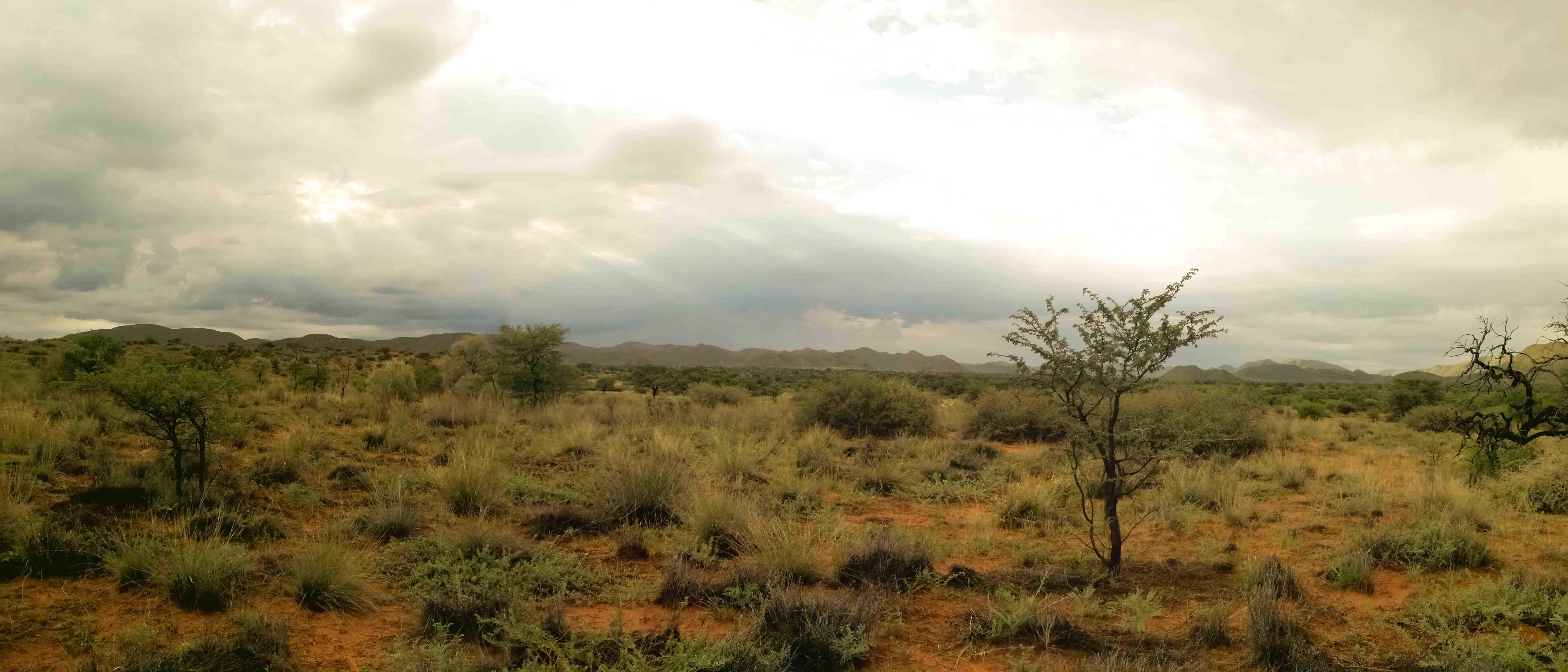 TSW_Landscape_Photo.jpg