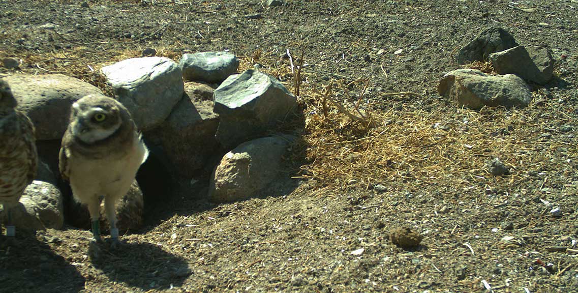 field1.jpg