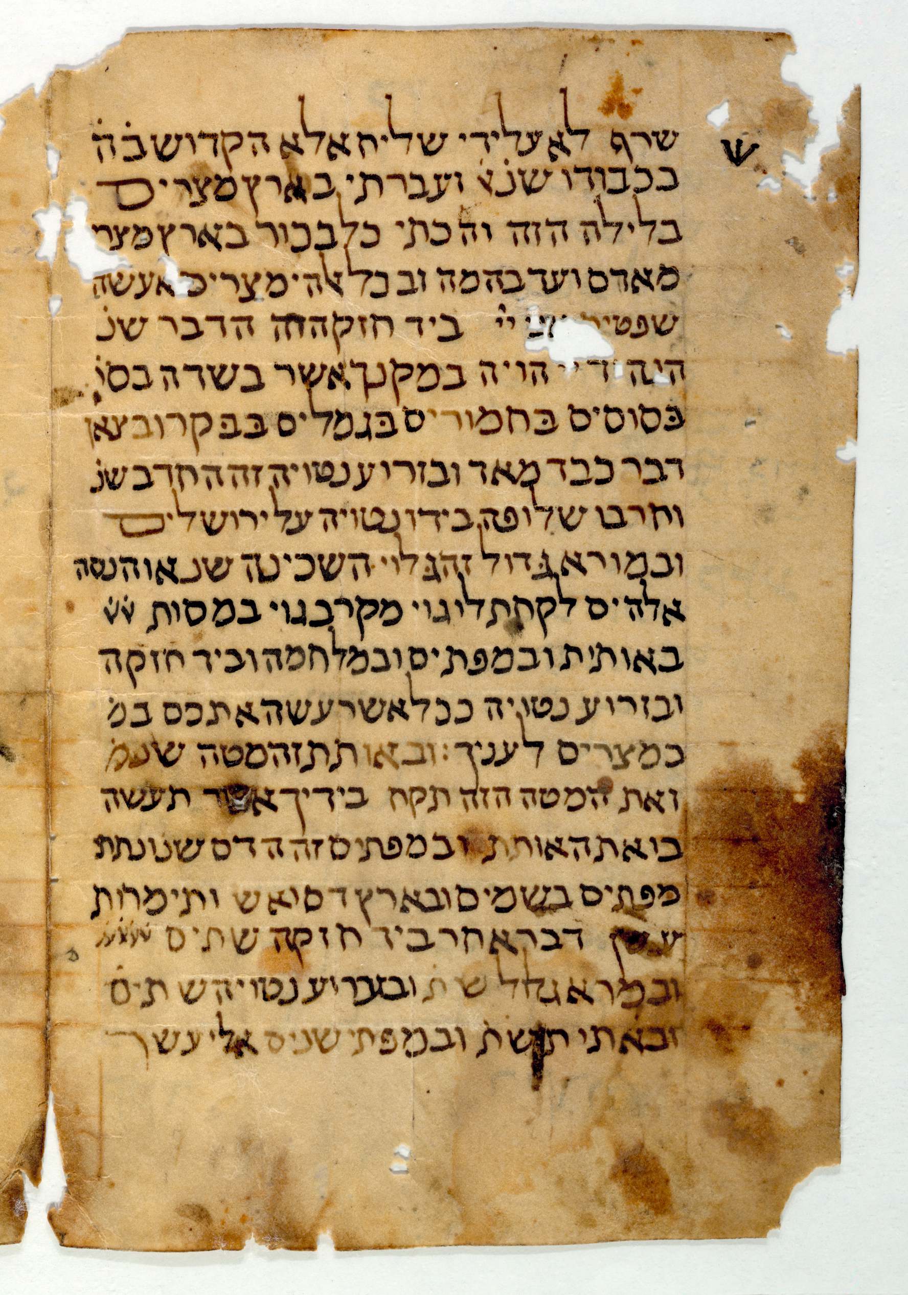 Scribes of the Cairo Geniza