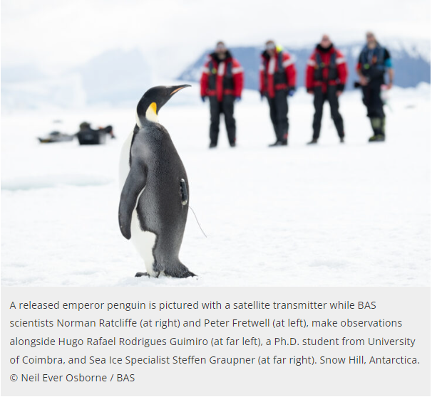 Polar Observatory » About — Zooniverse