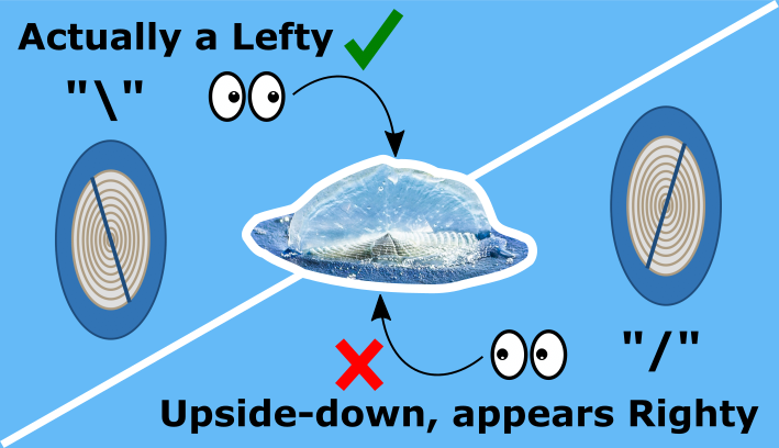 tutorial_upsidedown2.png