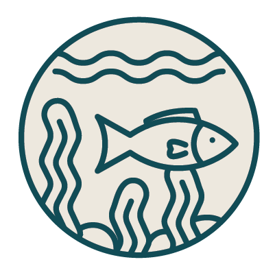 Project avatar for Spyfish Aotearoa