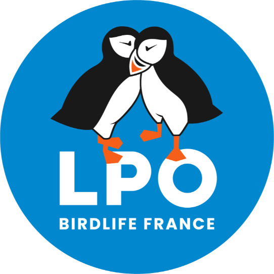 Project avatar for ABC Meygal – Volcanic Sucs (43)