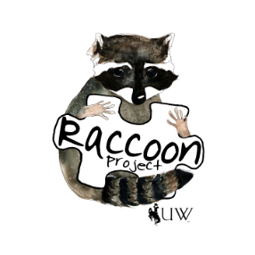 University Place Raccoon Sticker