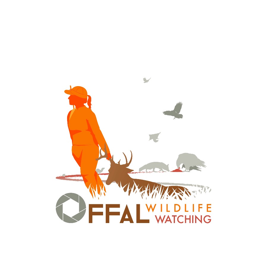 Project avatar for Offal Wildlife Watching