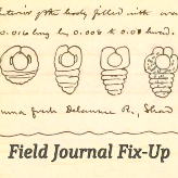 Project avatar for Field Journal Fix-Up