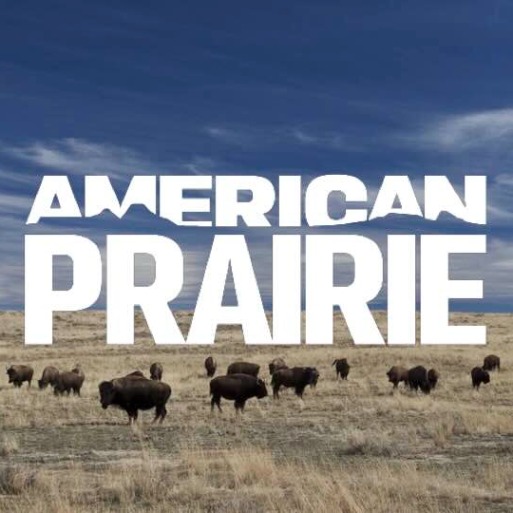 Project avatar for Cameras for Conservation