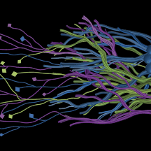 Project avatar for Mind Mapper