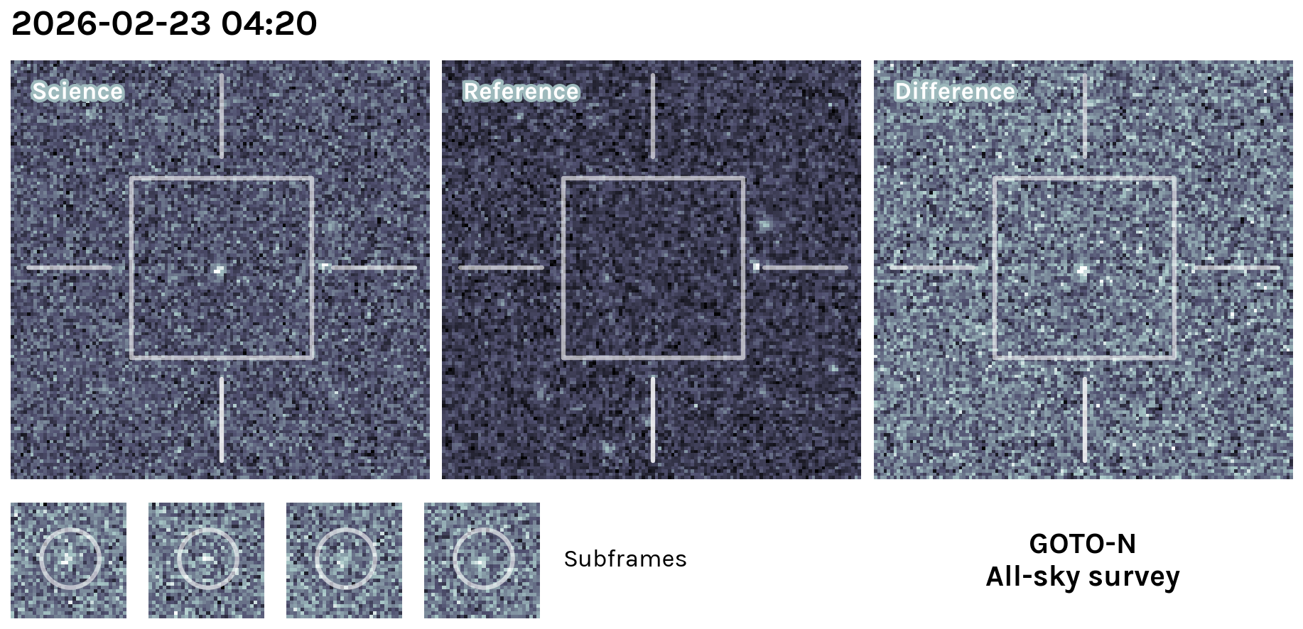 Kilonova Seekers subject for GOTO26bfo