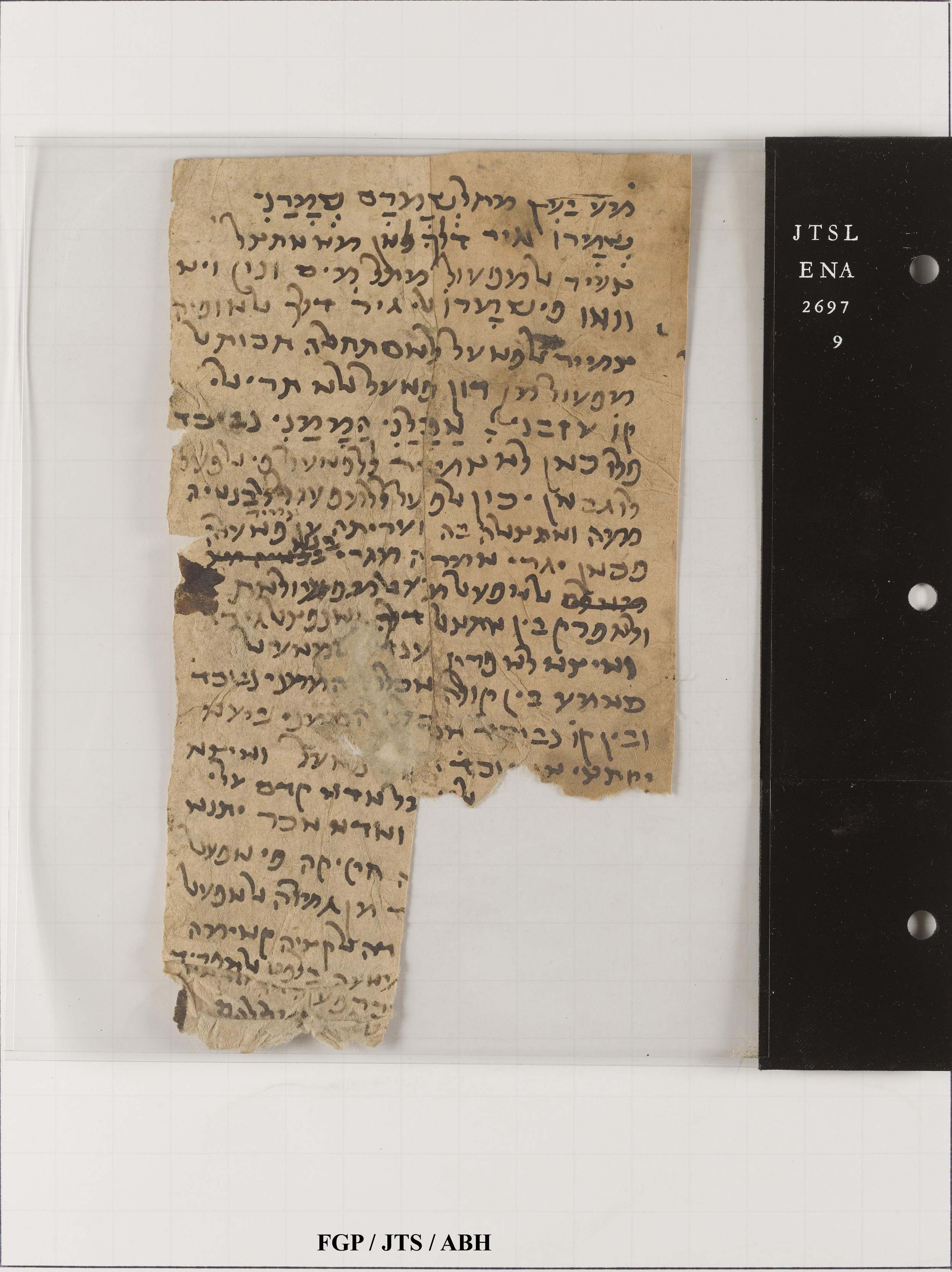 Scribes of the Cairo Geniza