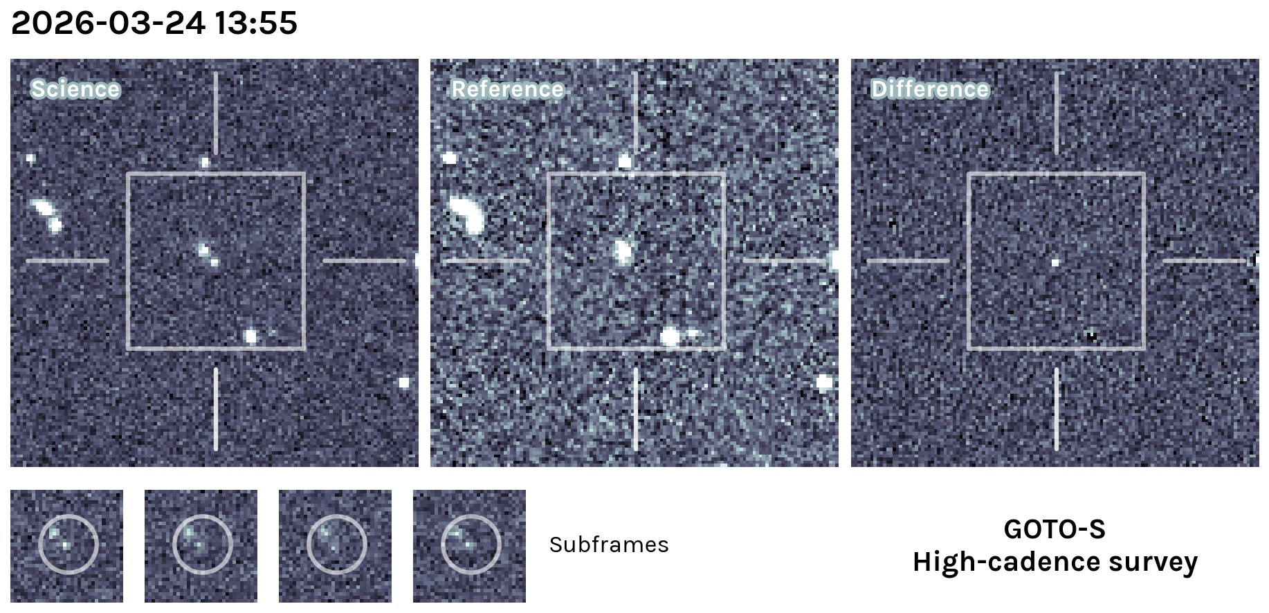 Kilonova Seekers subject for GOTO26cji